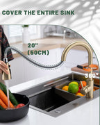 Kitchen Sink Tap Mixer with Pull Out Sprayer