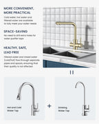 Kitchen Sink Tap Mixer with Pull Out Sprayer