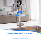 Kitchen Sink Tap Mixer with Pull Out Sprayer