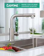 Kitchen Sink Tap Mixer with Pull Out Sprayer