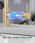 Kitchen Sink Tap Mixer with Pull Out Sprayer