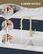 Kitchen Sink Tap Mixer with Pull Out Sprayer