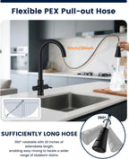 Kitchen Sink Tap Mixer with Pull Out Sprayer