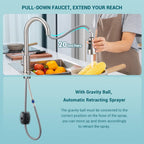 Kitchen Sink Tap Mixer with Pull Out Sprayer