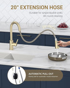 Kitchen Sink Tap Mixer with Pull Out Sprayer