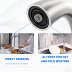 Kitchen Sink Tap Mixer with Pull Out Sprayer