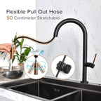 Kitchen Sink Tap with Pull Out Spray Rotation