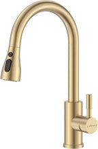 Kitchen Tap Mixer Taps with Pull Out Spray