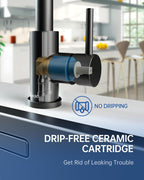 Kitchen Tap Mixer Taps with Pull Out Spray