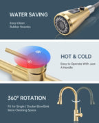 Kitchen Tap Mixer Taps with Pull Out Spray