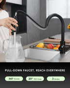 Kitchen Tap Mixer Taps with Pull Out Spray