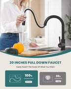 Kitchen Tap Mixer Taps with Pull Out Spray
