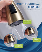 Kitchen Tap Mixer Taps with Pull Out Spray