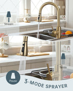 Kitchen Tap Mixer Taps with Pull Out Spray