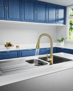 Kitchen Tap Mixer Taps with Pull Out Spray