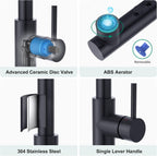 Kitchen Tap with 3 Function Sprayer Pull Out