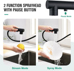 Kitchen Tap with 3 Function Sprayer Pull Out