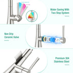 Kitchen Tap with Pull Down Dual Function Sprayer