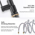 Kitchen Tap with Pull Down Dual Function Sprayer