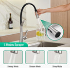 Kitchen Tap with Pull Down Dual Function Sprayer