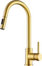 Kitchen Tap with Pull Down Sprayer