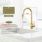 Kitchen Tap with Pull Down Sprayer