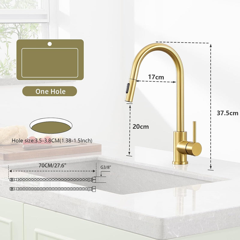 Kitchen Tap with Pull Down Sprayer