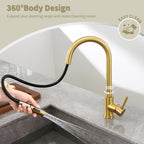 Kitchen Tap with Pull Down Sprayer