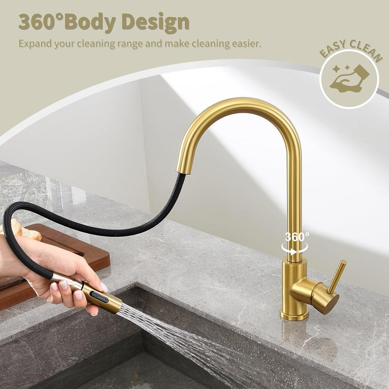 Kitchen Tap with Pull Down Sprayer
