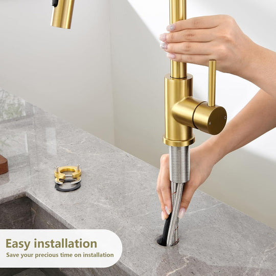 Kitchen Tap with Pull Down Sprayer