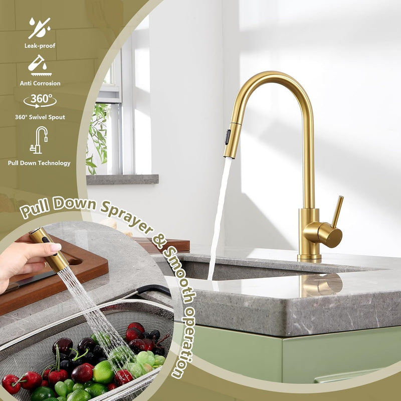 Kitchen Tap with Pull Down Sprayer