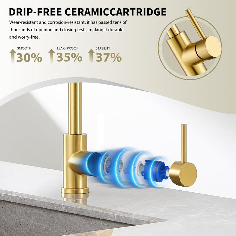 Kitchen Tap with Pull Down Sprayer
