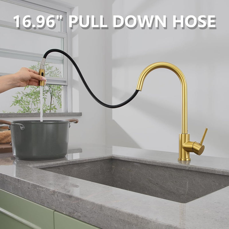 Kitchen Tap with Pull Down Sprayer