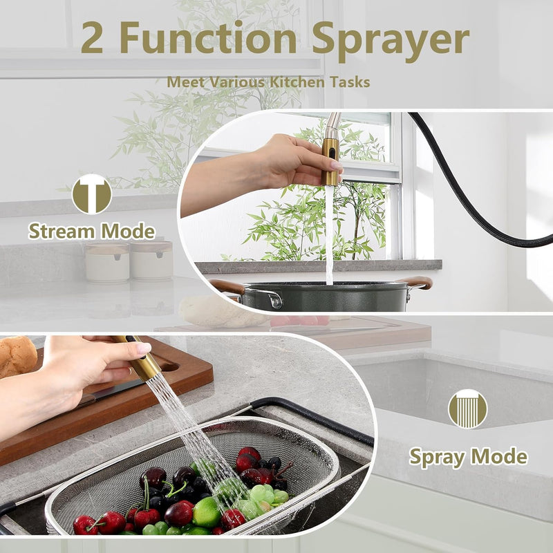 Kitchen Tap with Pull Down Sprayer