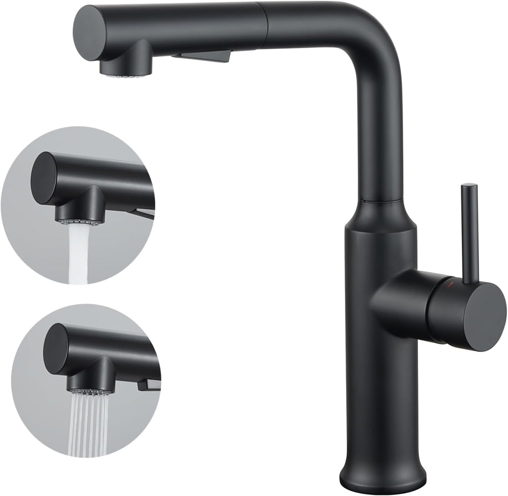 Kitchen Tap with Pull Out Sprayer Dual Function