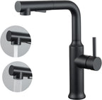 Kitchen Tap with Pull Out Sprayer Dual Function