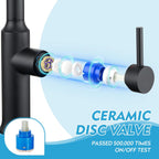 Kitchen Tap with Pull Out Sprayer Dual Function
