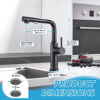 Kitchen Tap with Pull Out Sprayer Dual Function