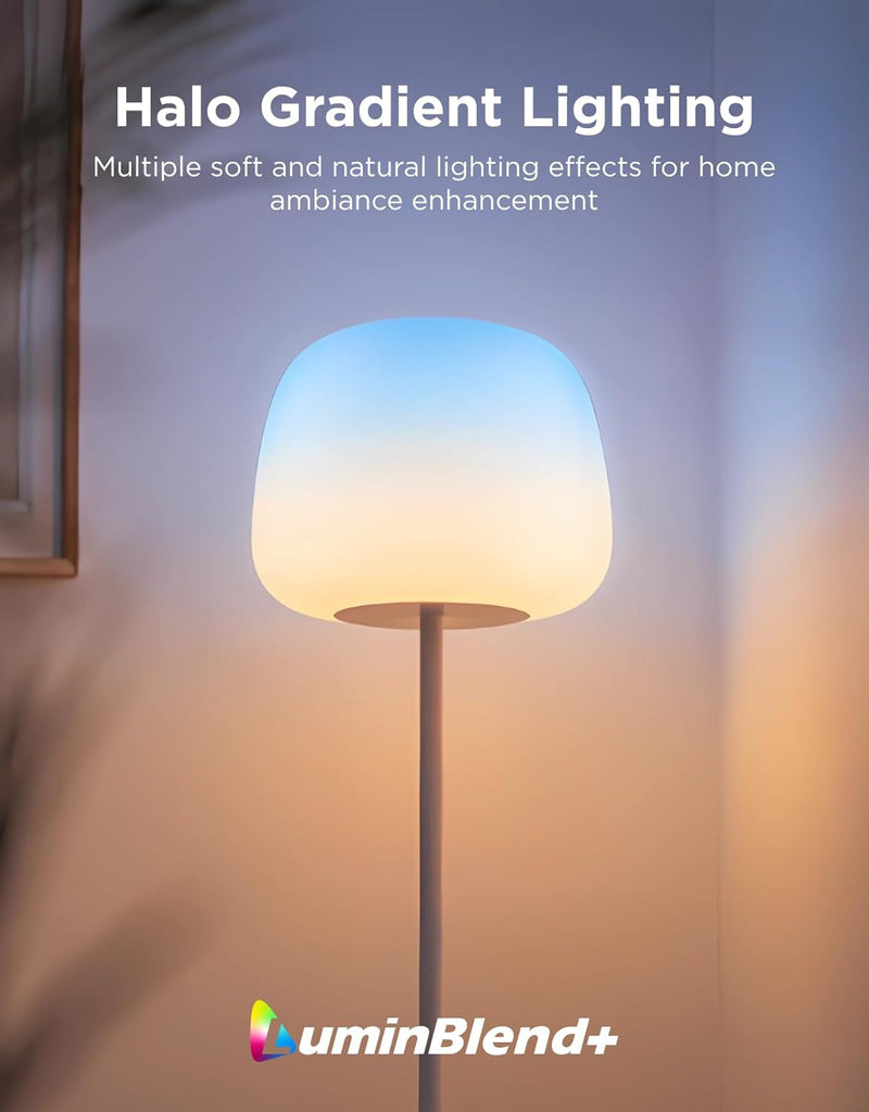 Lantern Floor Lamp Halo Gradient with Silicone