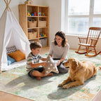 Large Area Rug for Living Room Modern