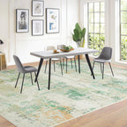 Large Area Rug for Living Room Modern
