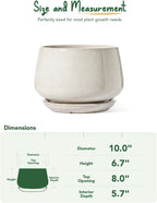 Large Ceramic Plant Pots