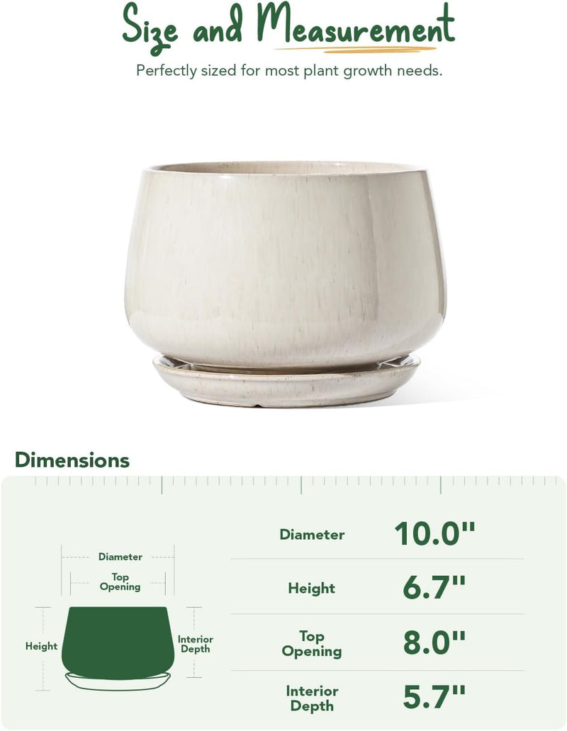 Large Ceramic Plant Pots