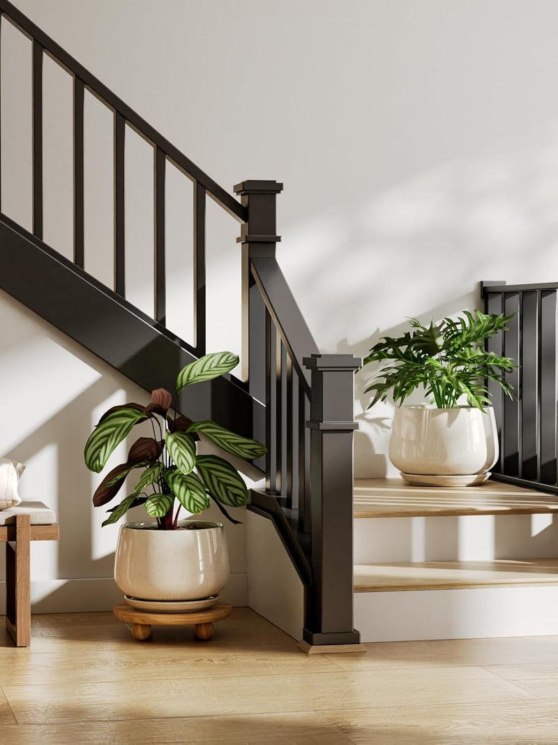 Large Ceramic Plant Pots
