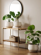 Large Ceramic Plant Pots