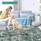Large Modern Abstract Rugs Living Room Non-Slip