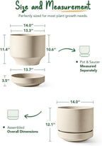 Large Plant Pot with Saucer Ceramic