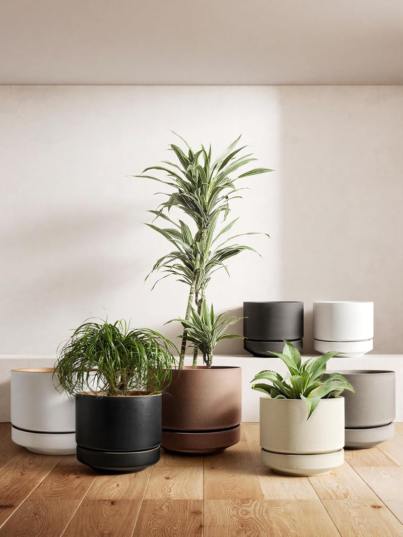 Large Plant Pot with Saucer Ceramic