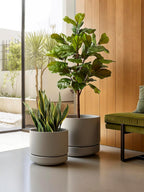 Large Plant Pot with Saucer Ceramic