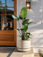 Large Plant Pot with Saucer Ceramic